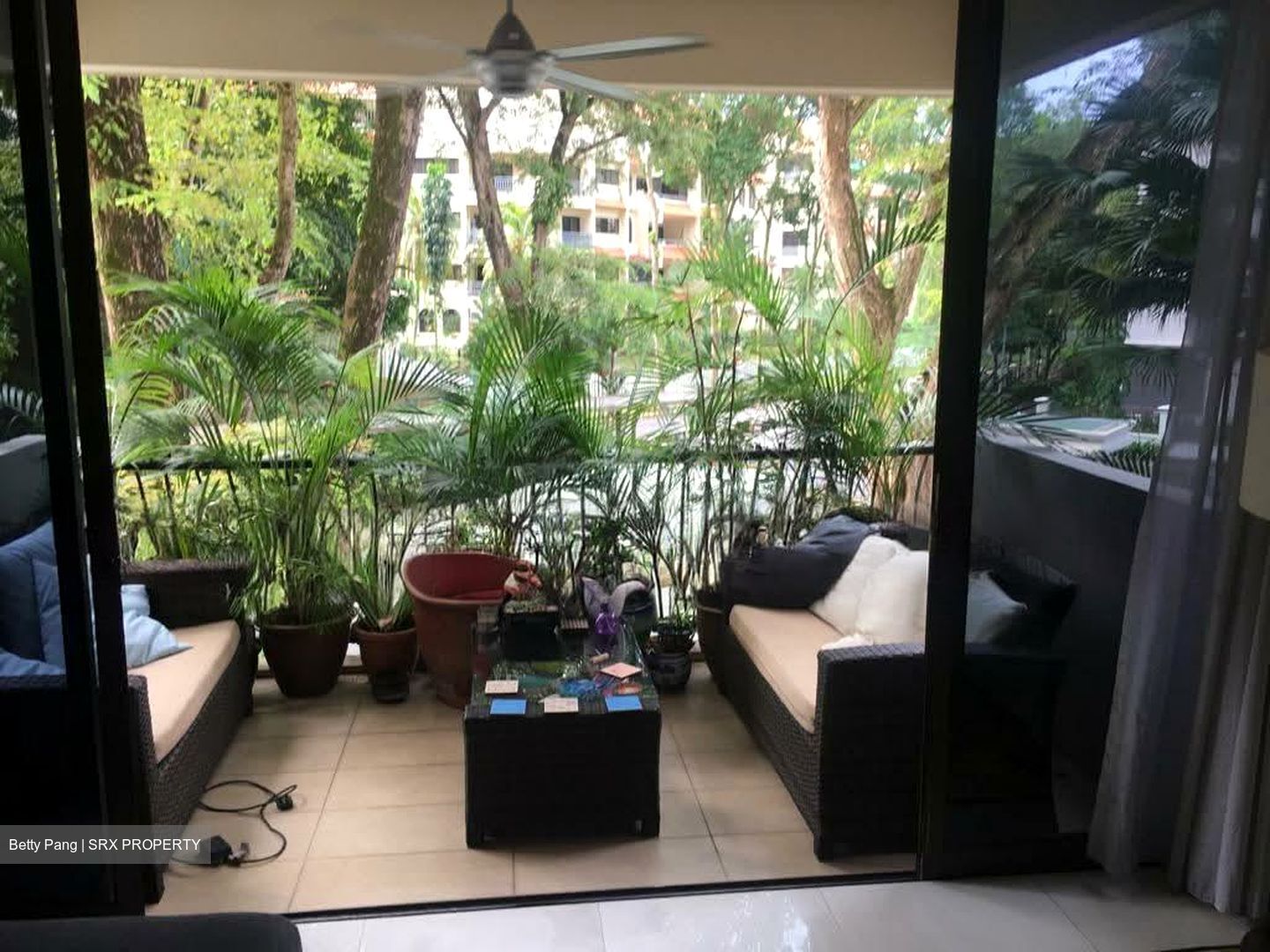 Sommerville Park (D10), Condominium #553320161